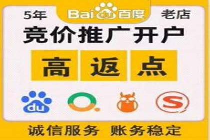 托管SEM竞价策略：行业领先企业的秘密武器